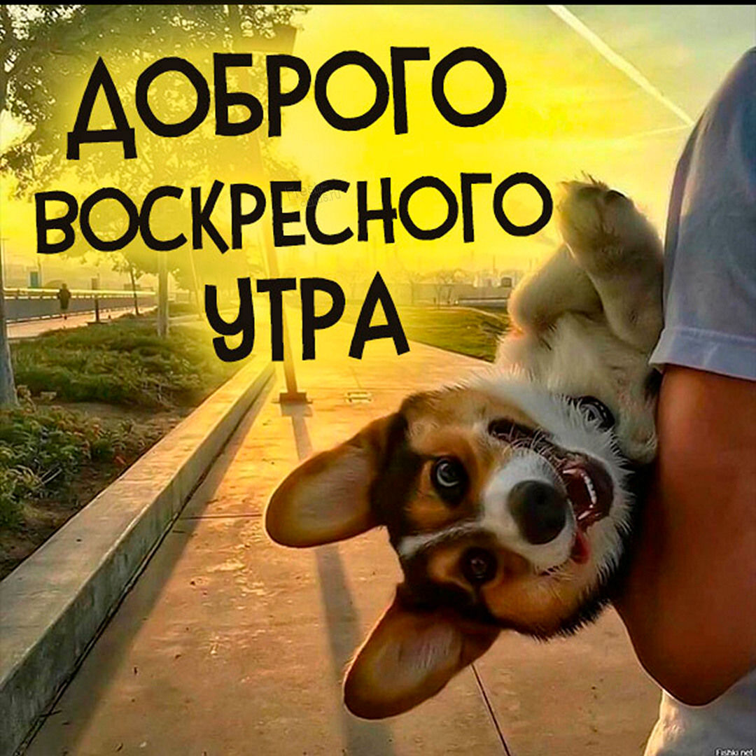 Хостинг картинок yapx.ru