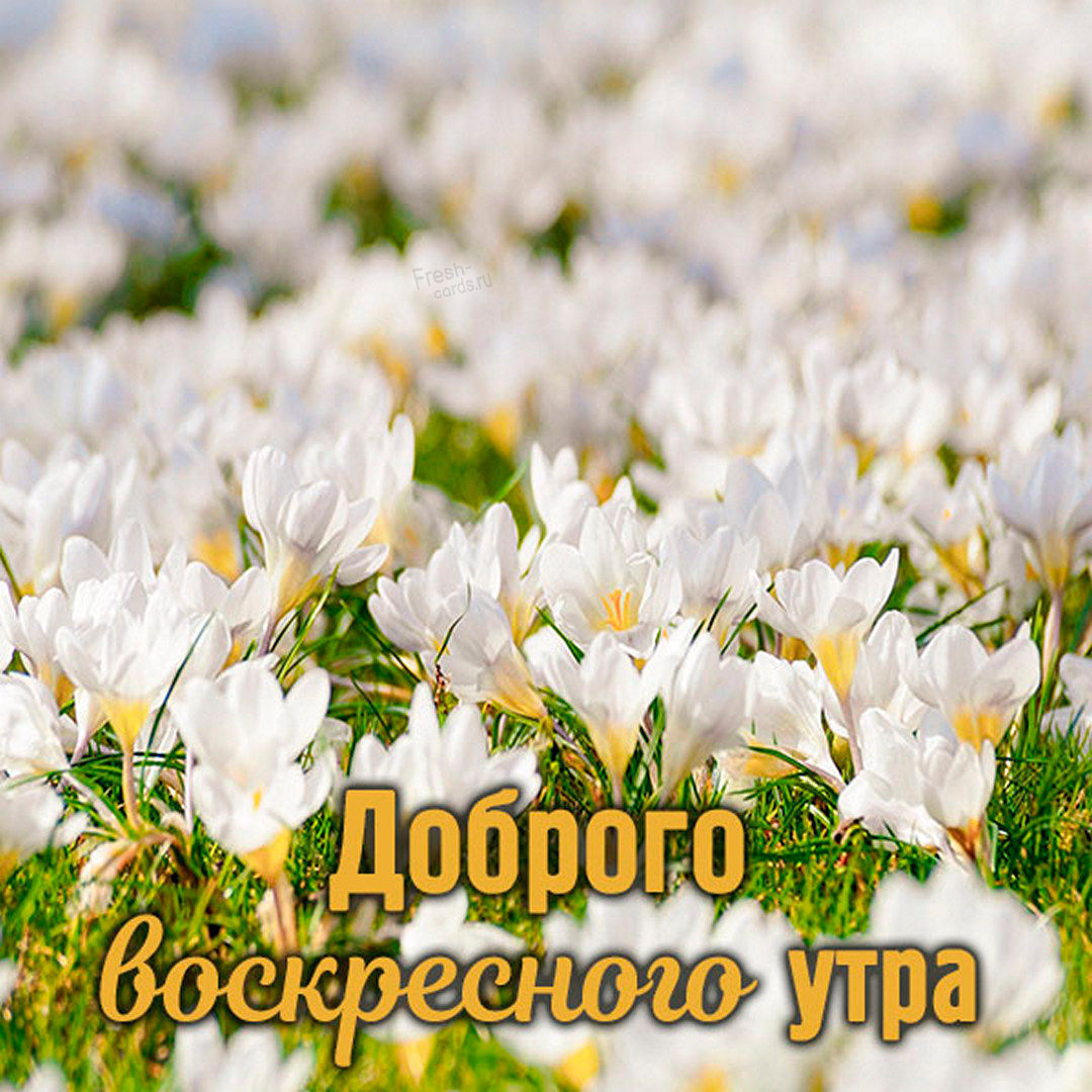 Хостинг картинок yapx.ru