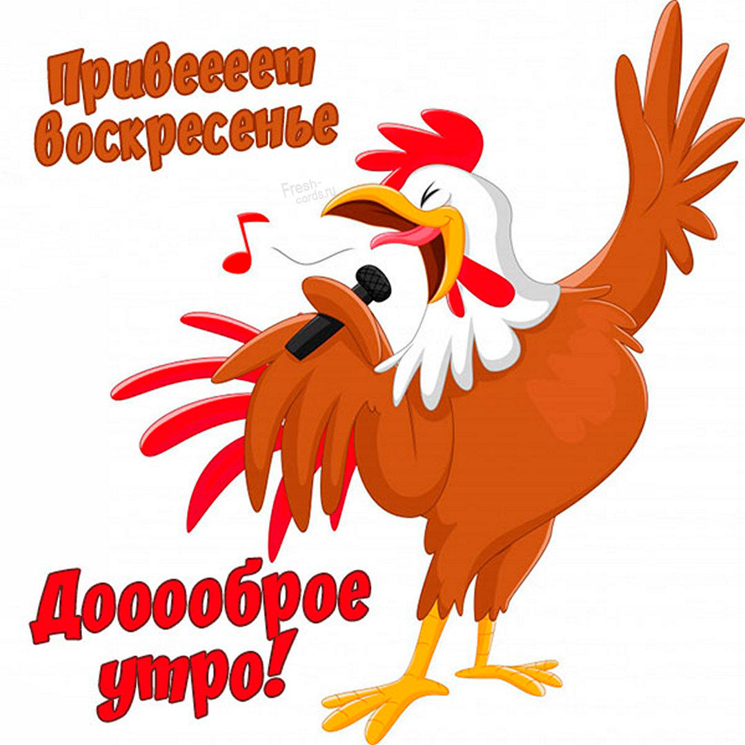 Хостинг картинок yapx.ru