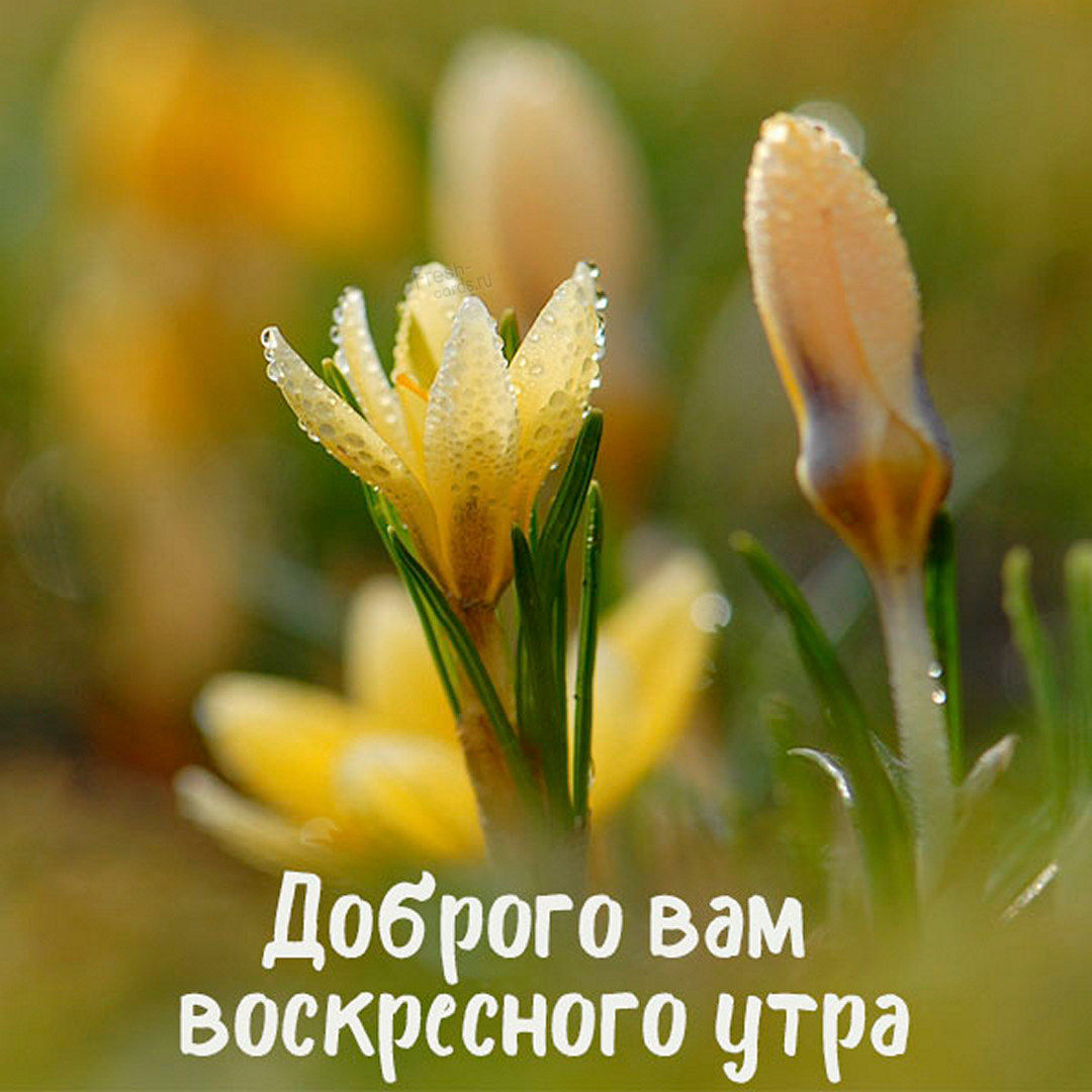 Хостинг картинок yapx.ru