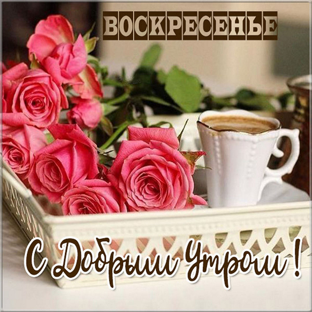 Хостинг картинок yapx.ru