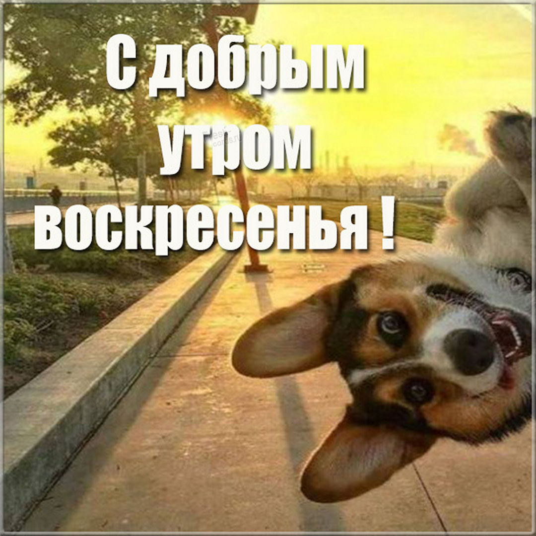 Хостинг картинок yapx.ru