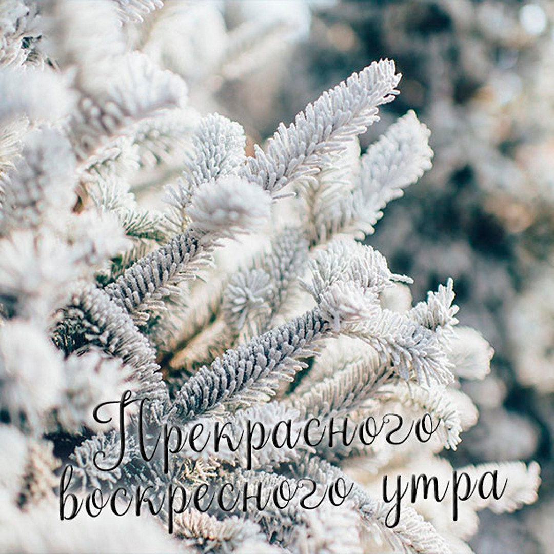 Хостинг картинок yapx.ru