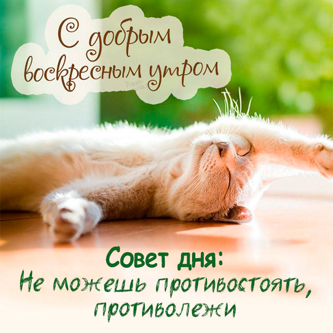 Хостинг картинок yapx.ru