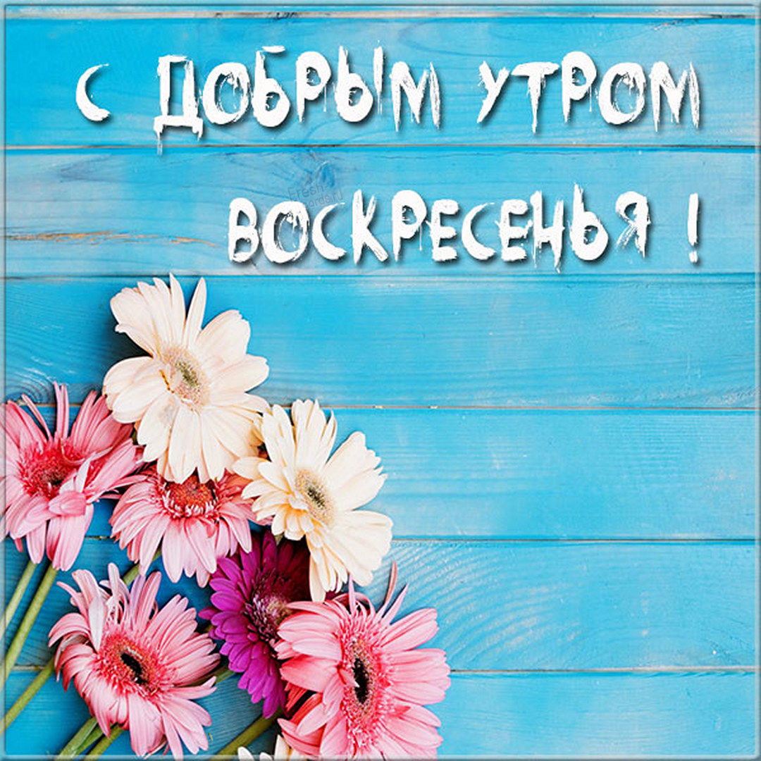 Хостинг картинок yapx.ru