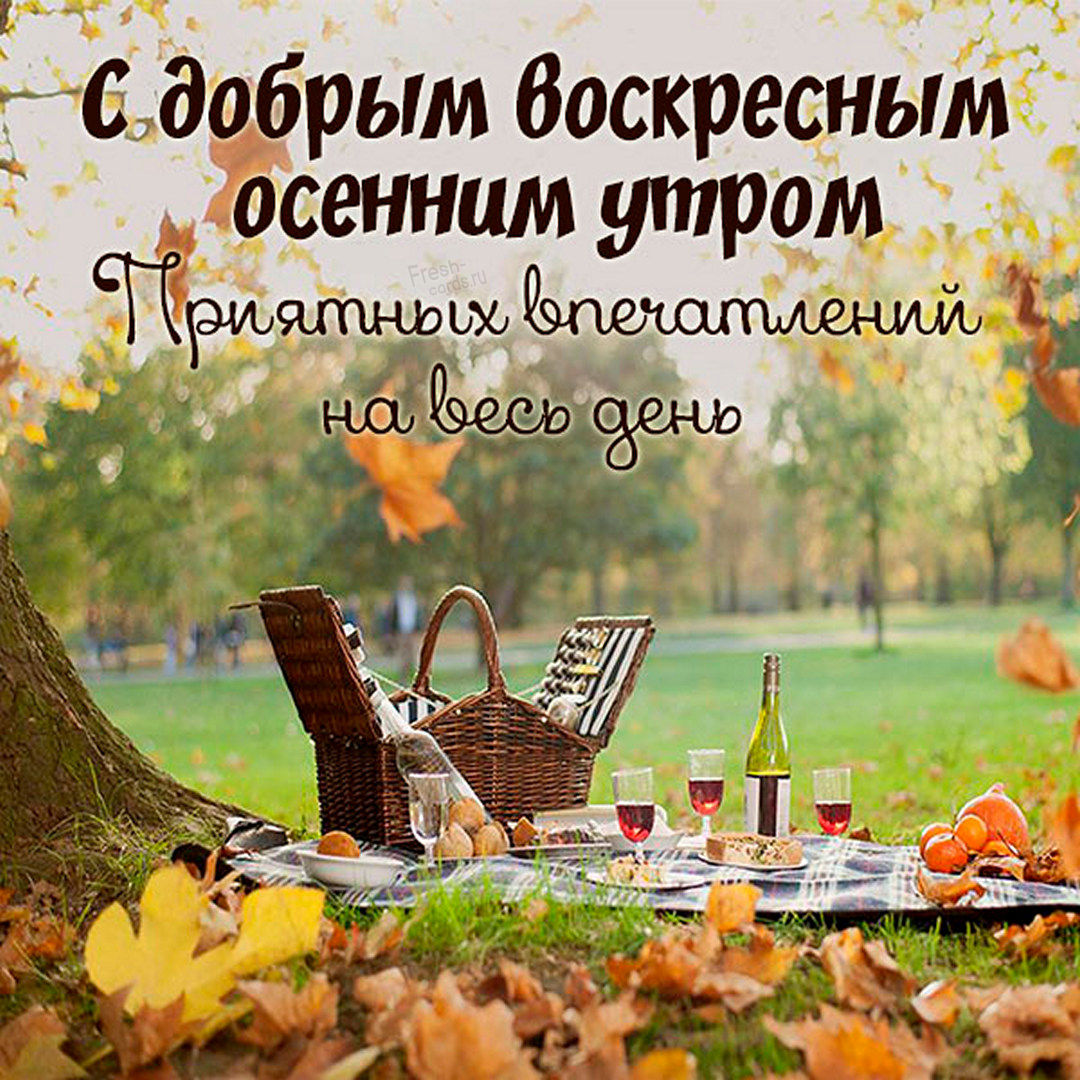 Хостинг картинок yapx.ru