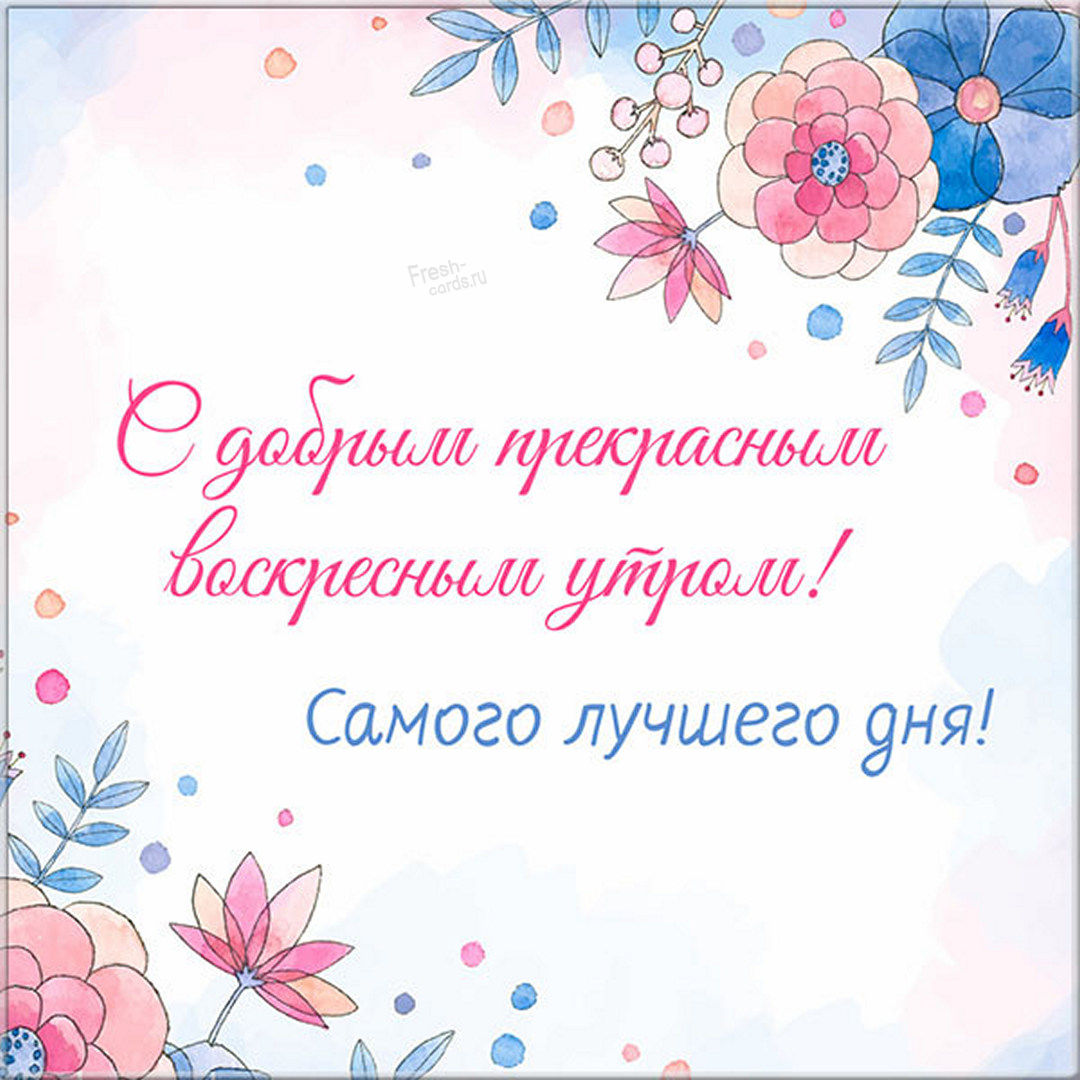 Хостинг картинок yapx.ru