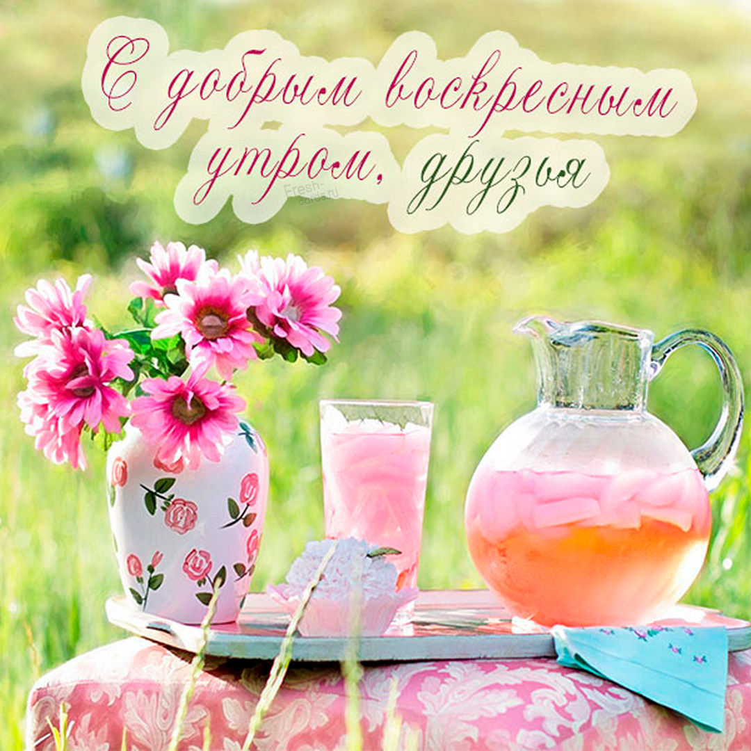 Хостинг картинок yapx.ru