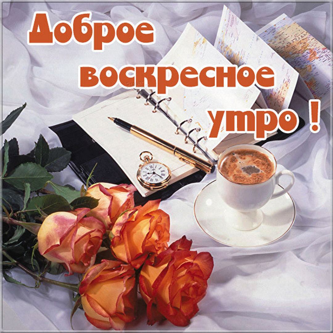 Хостинг картинок yapx.ru