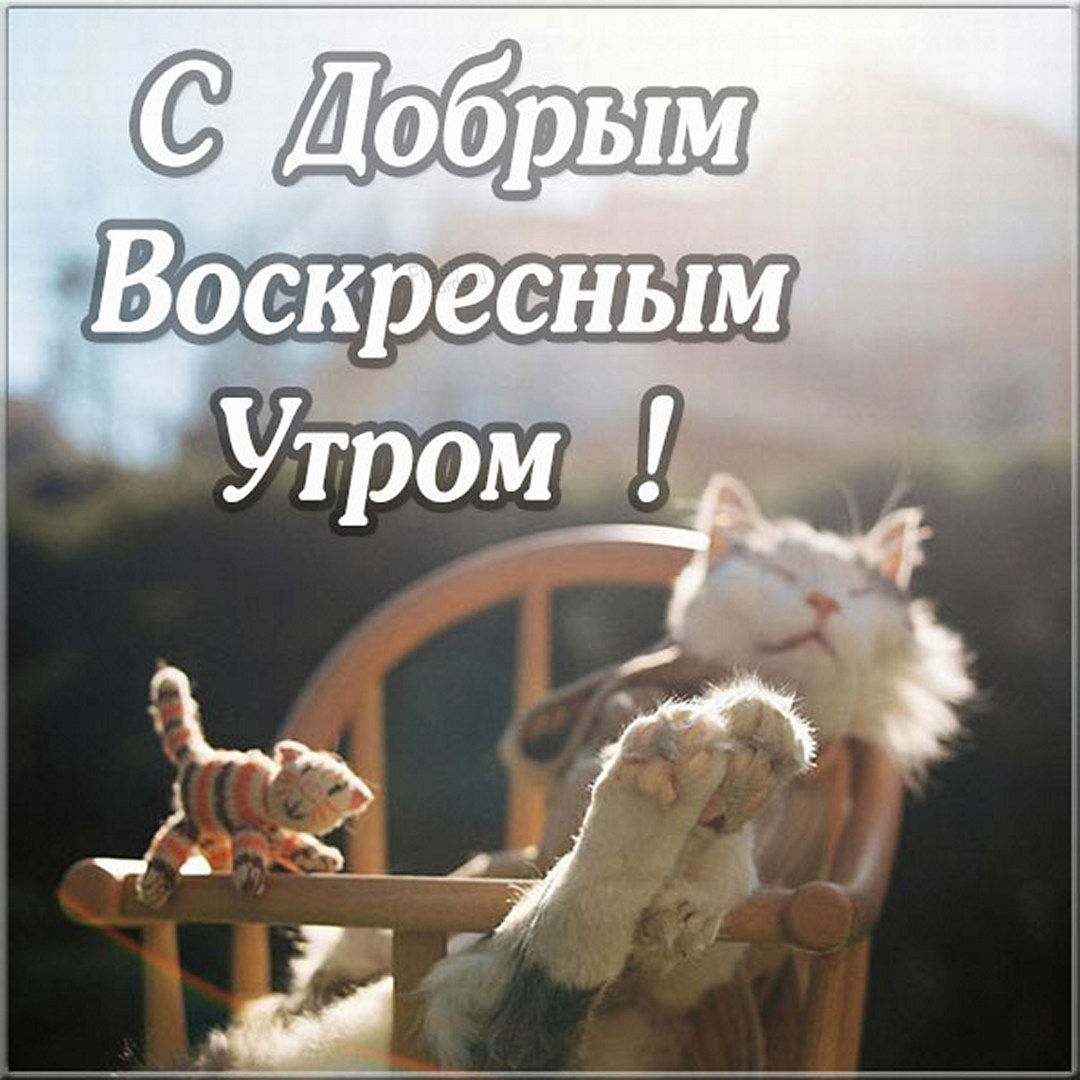 Хостинг картинок yapx.ru