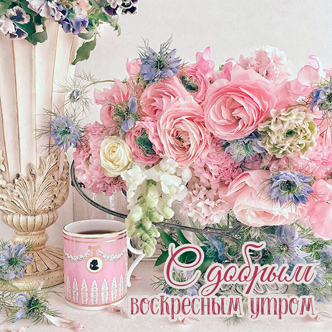 Хостинг картинок yapx.ru