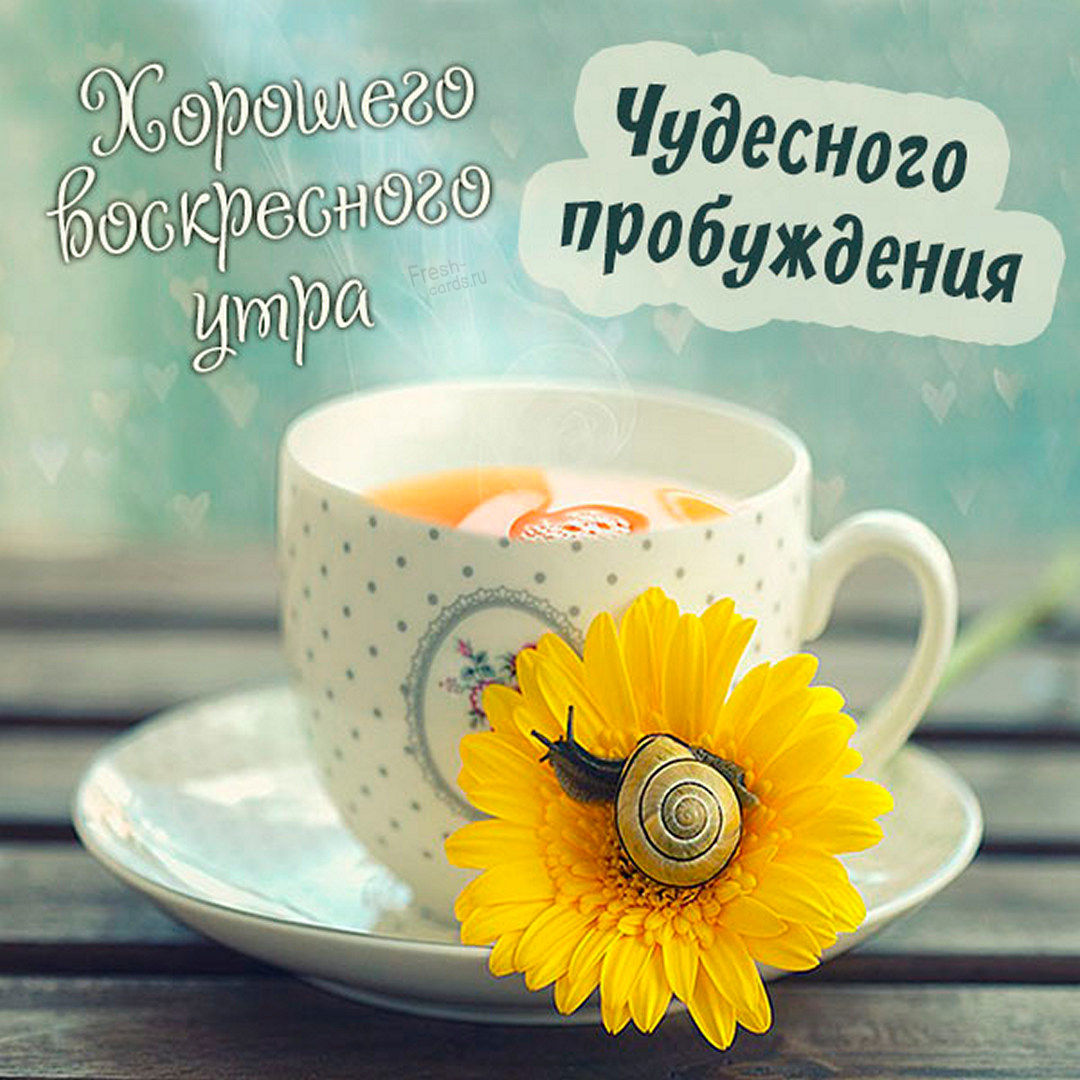 Хостинг картинок yapx.ru