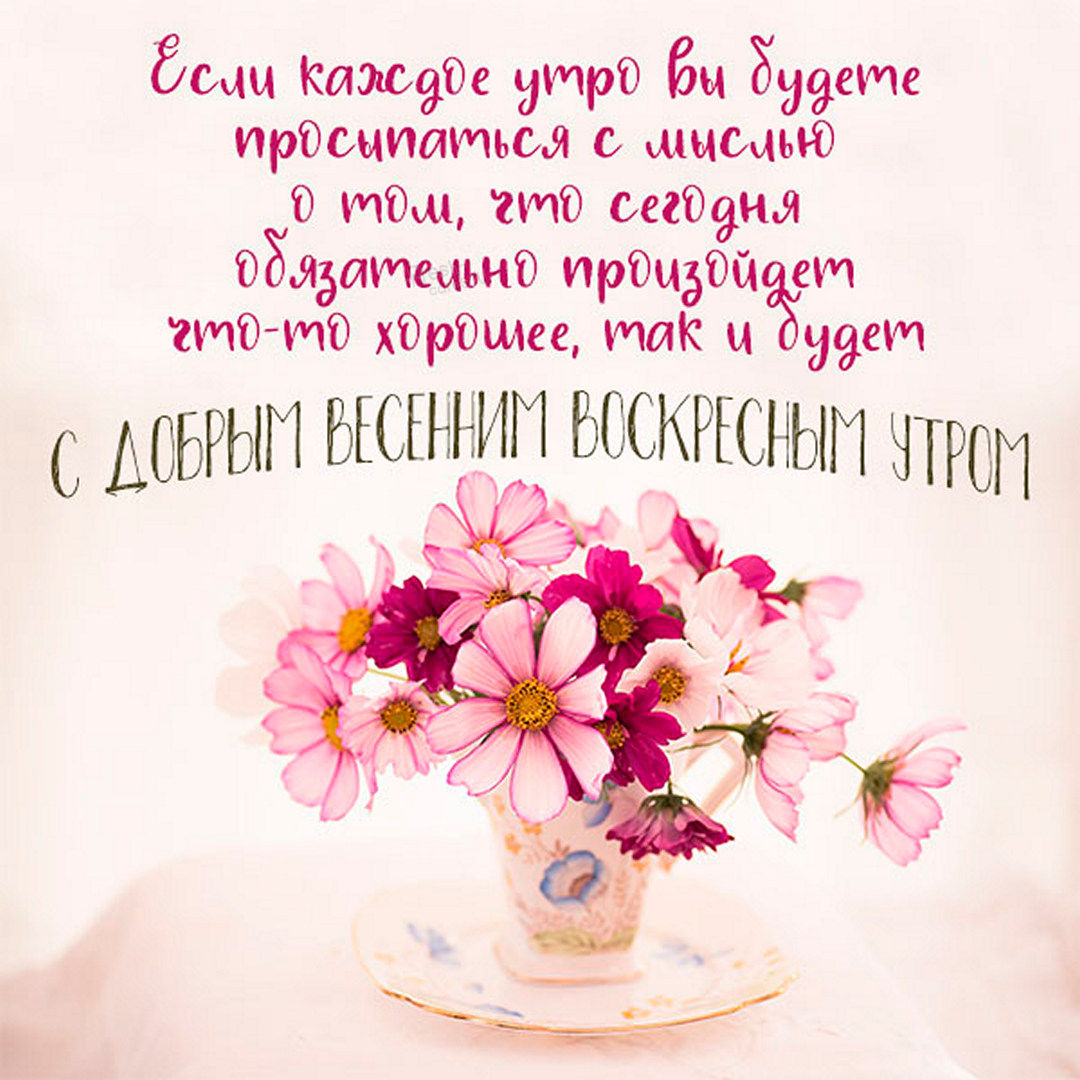 Хостинг картинок yapx.ru