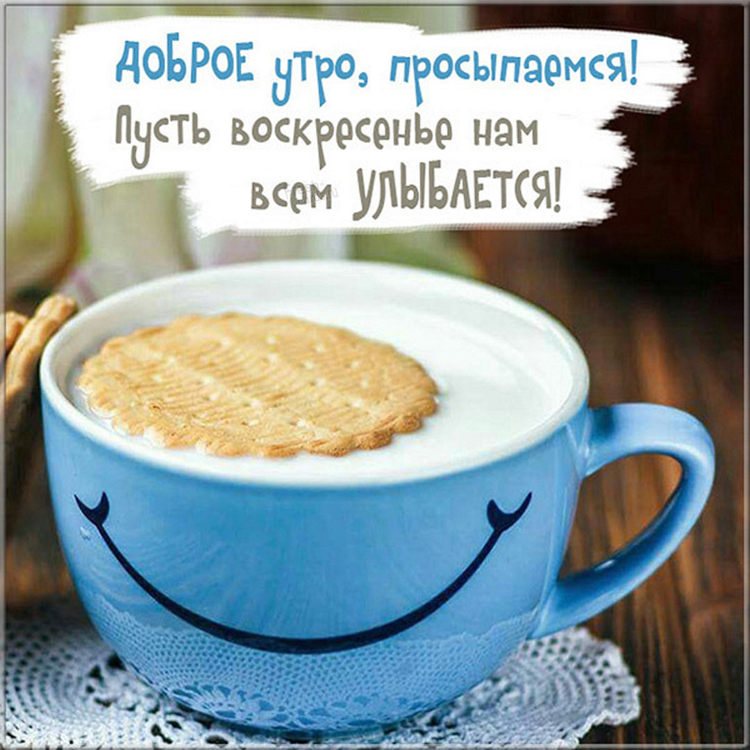 Хостинг картинок yapx.ru