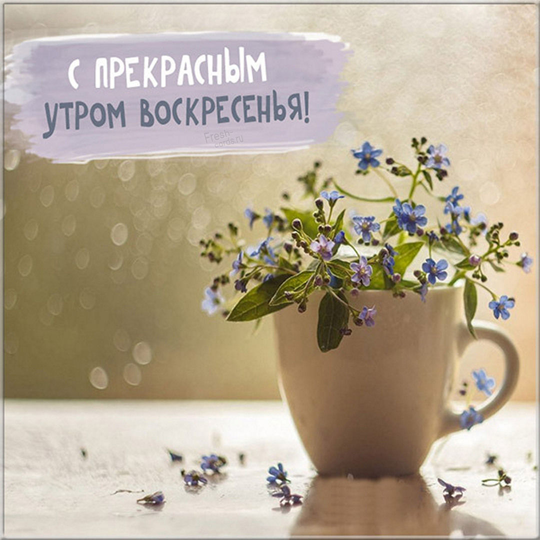 Хостинг картинок yapx.ru