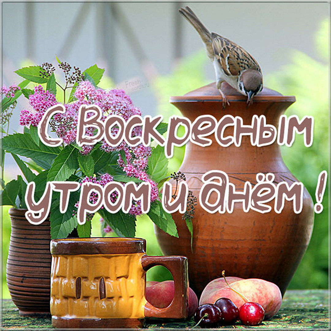 Хостинг картинок yapx.ru