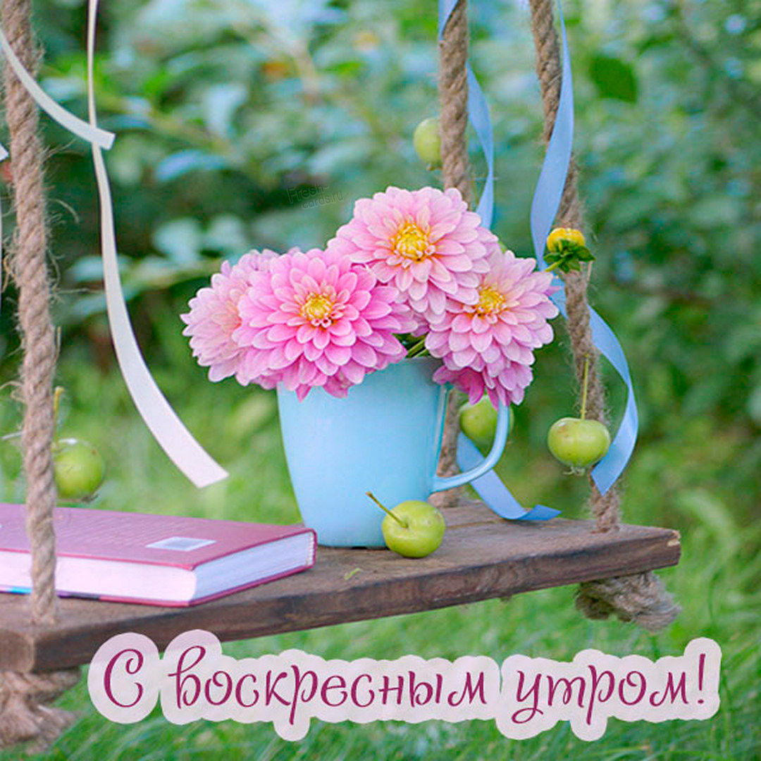 Хостинг картинок yapx.ru