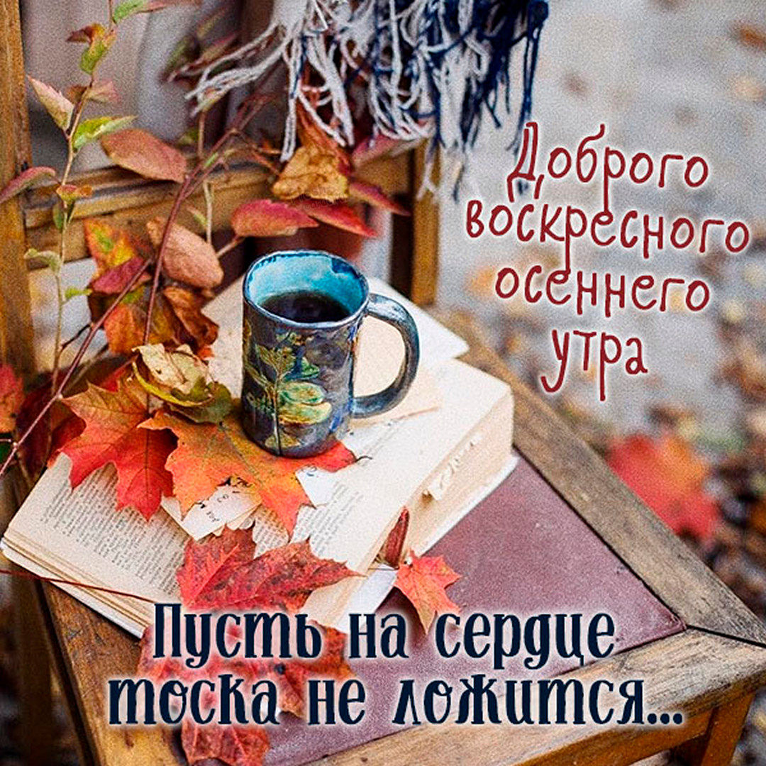 Хостинг картинок yapx.ru