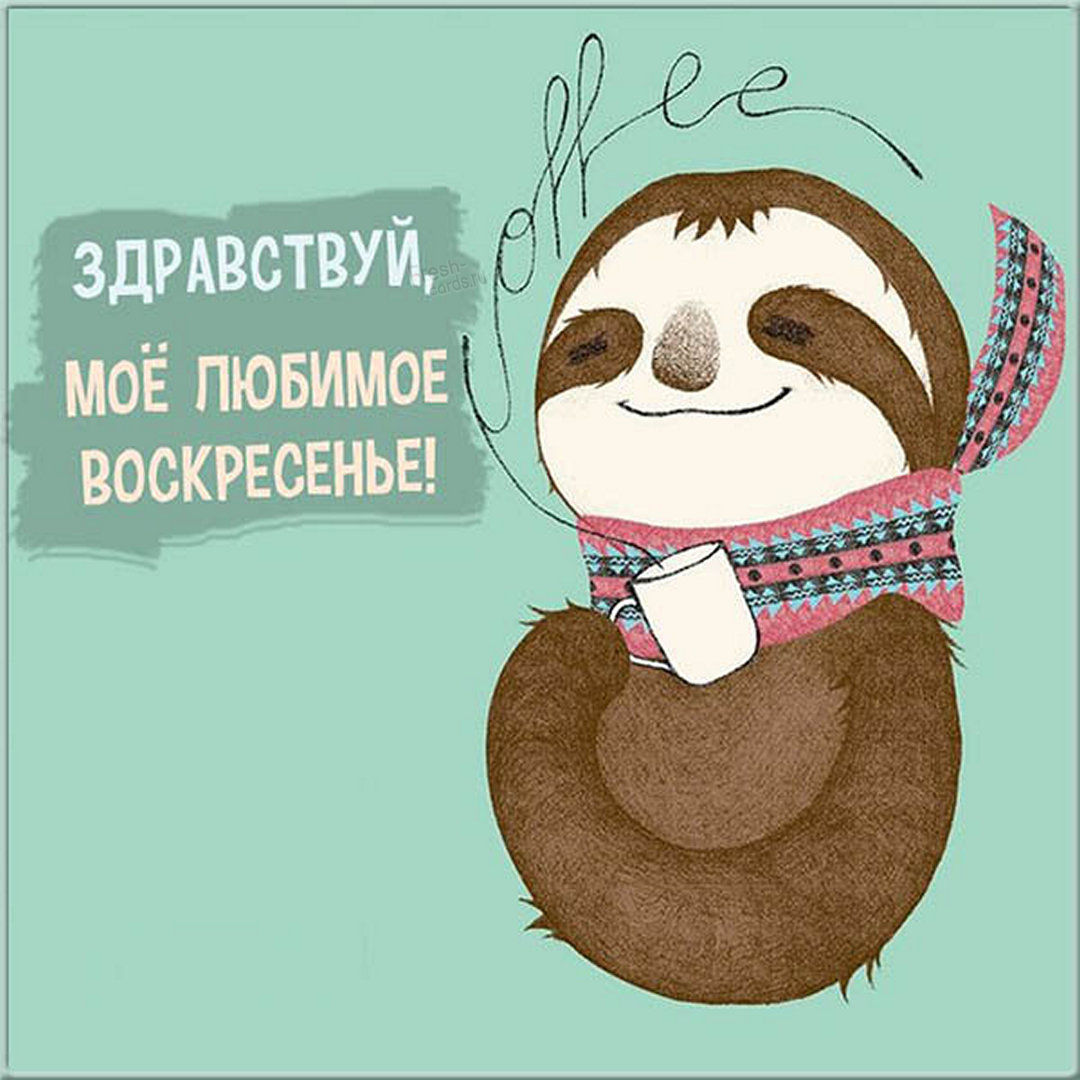 Хостинг картинок yapx.ru