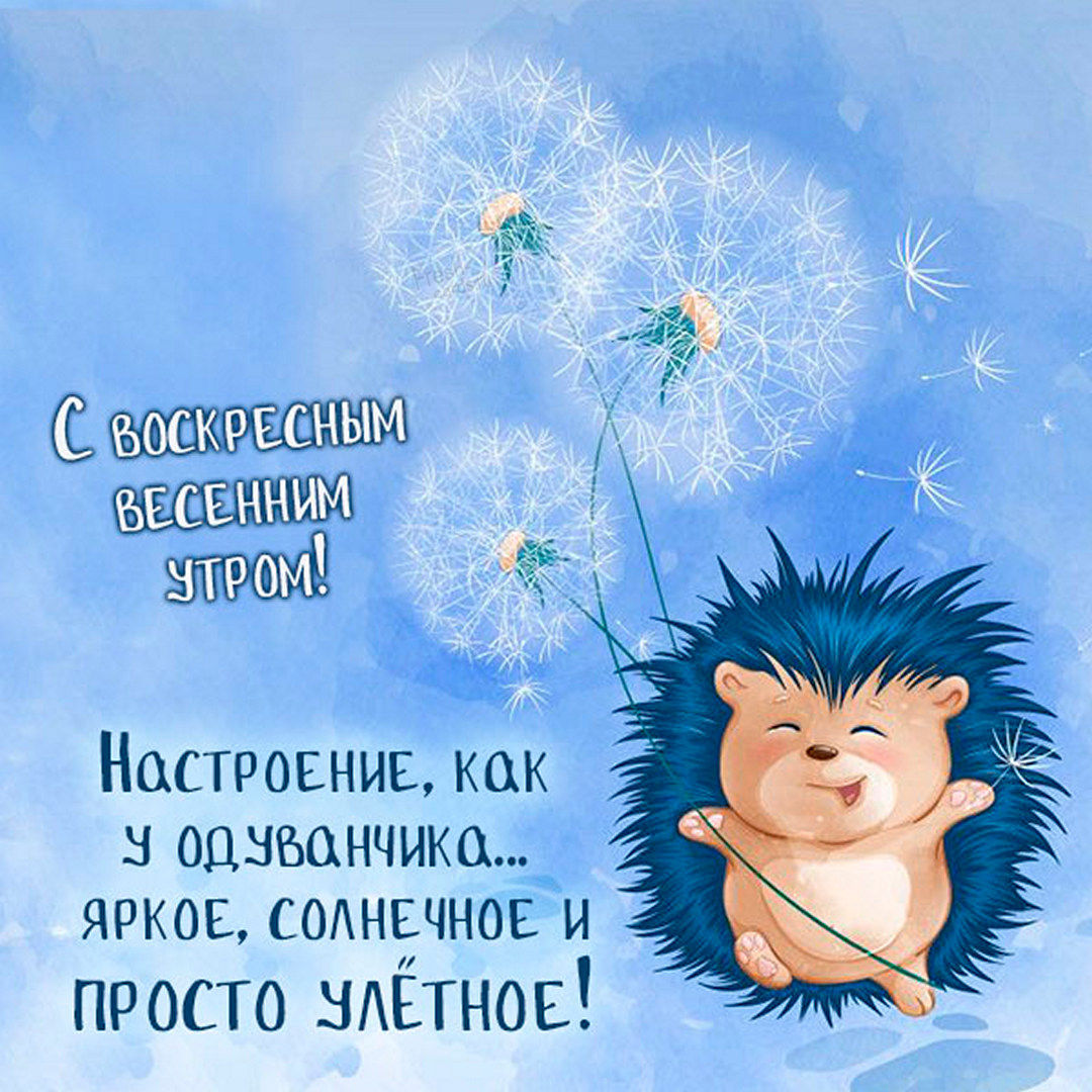 Хостинг картинок yapx.ru