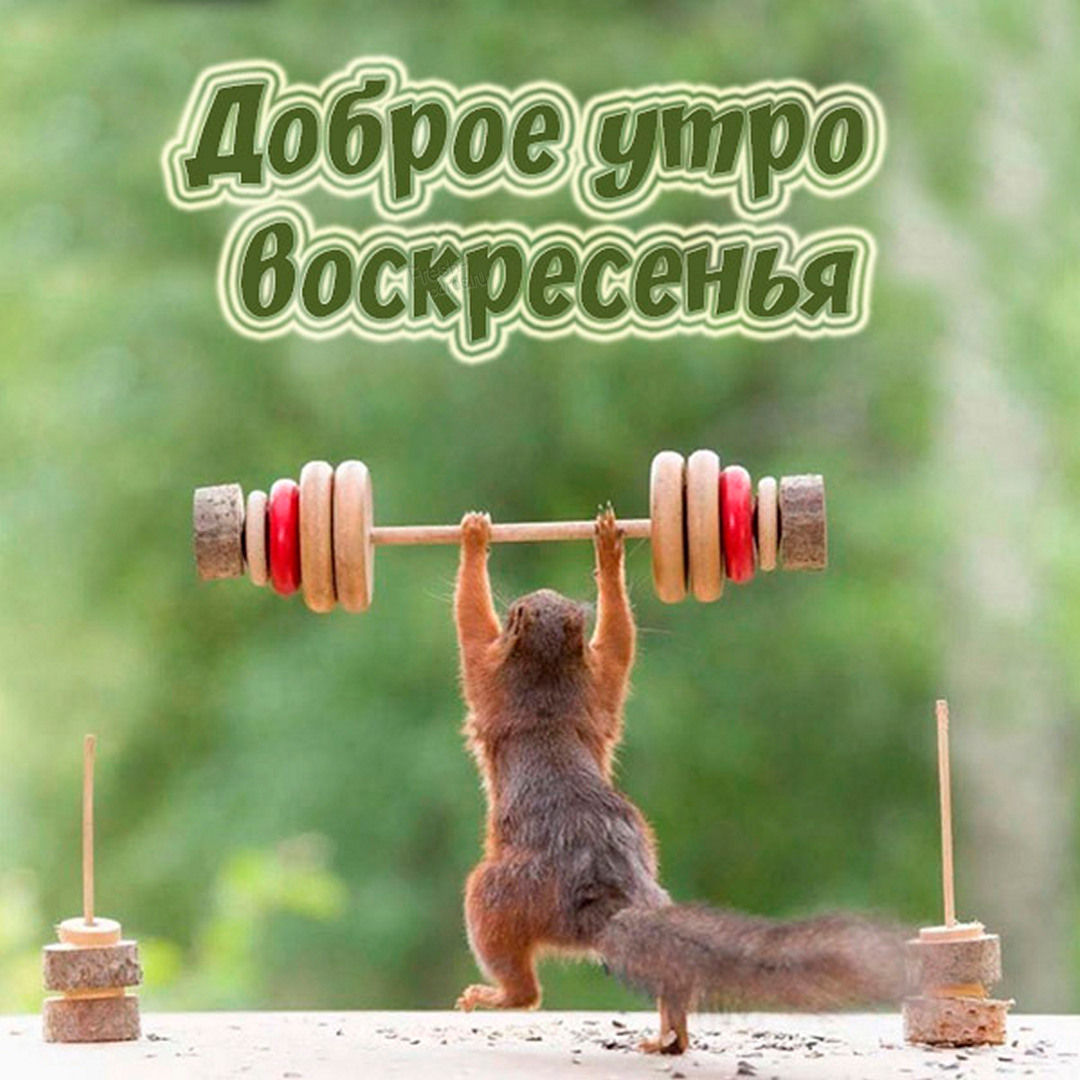 Хостинг картинок yapx.ru