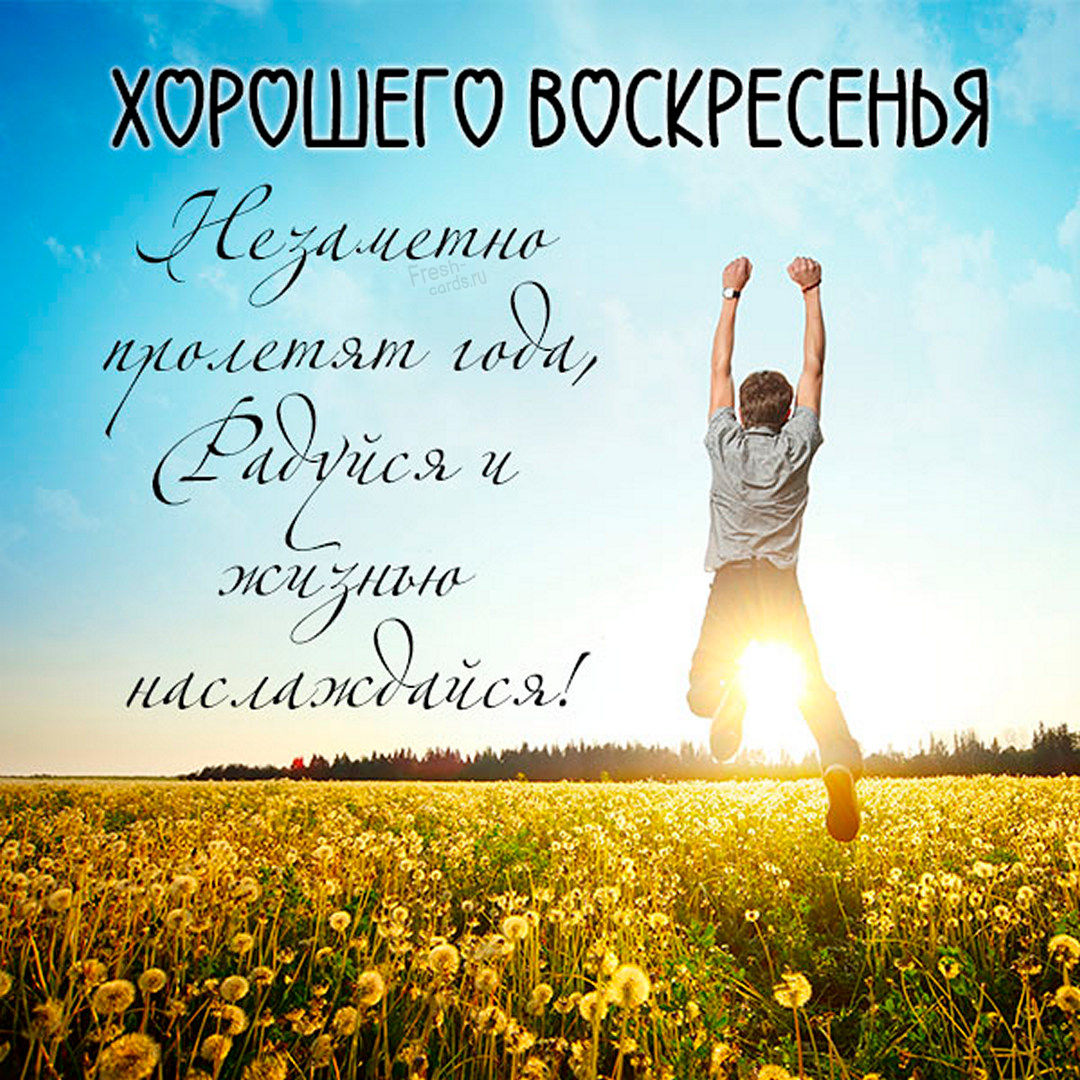 Хостинг картинок yapx.ru