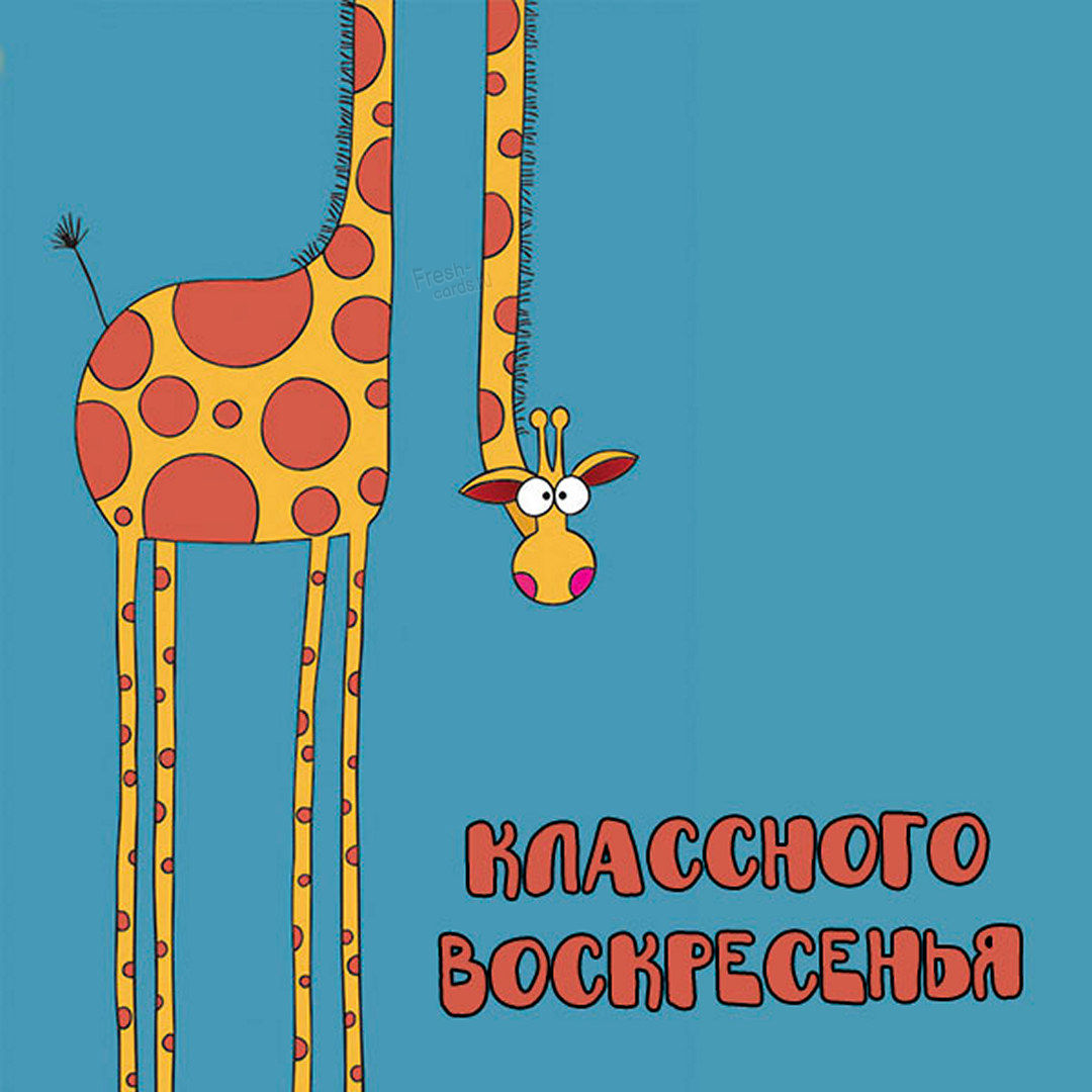 Хостинг картинок yapx.ru