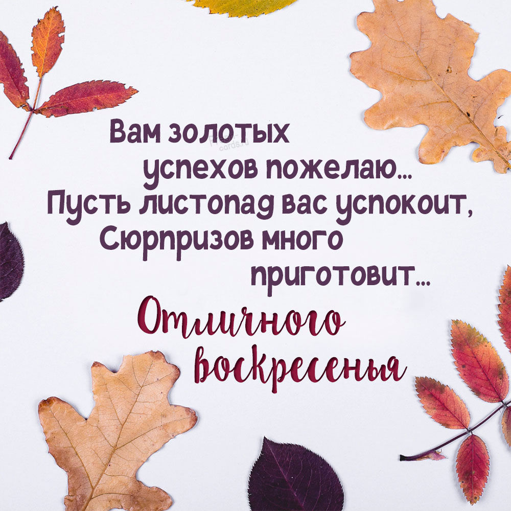 Хостинг картинок yapx.ru