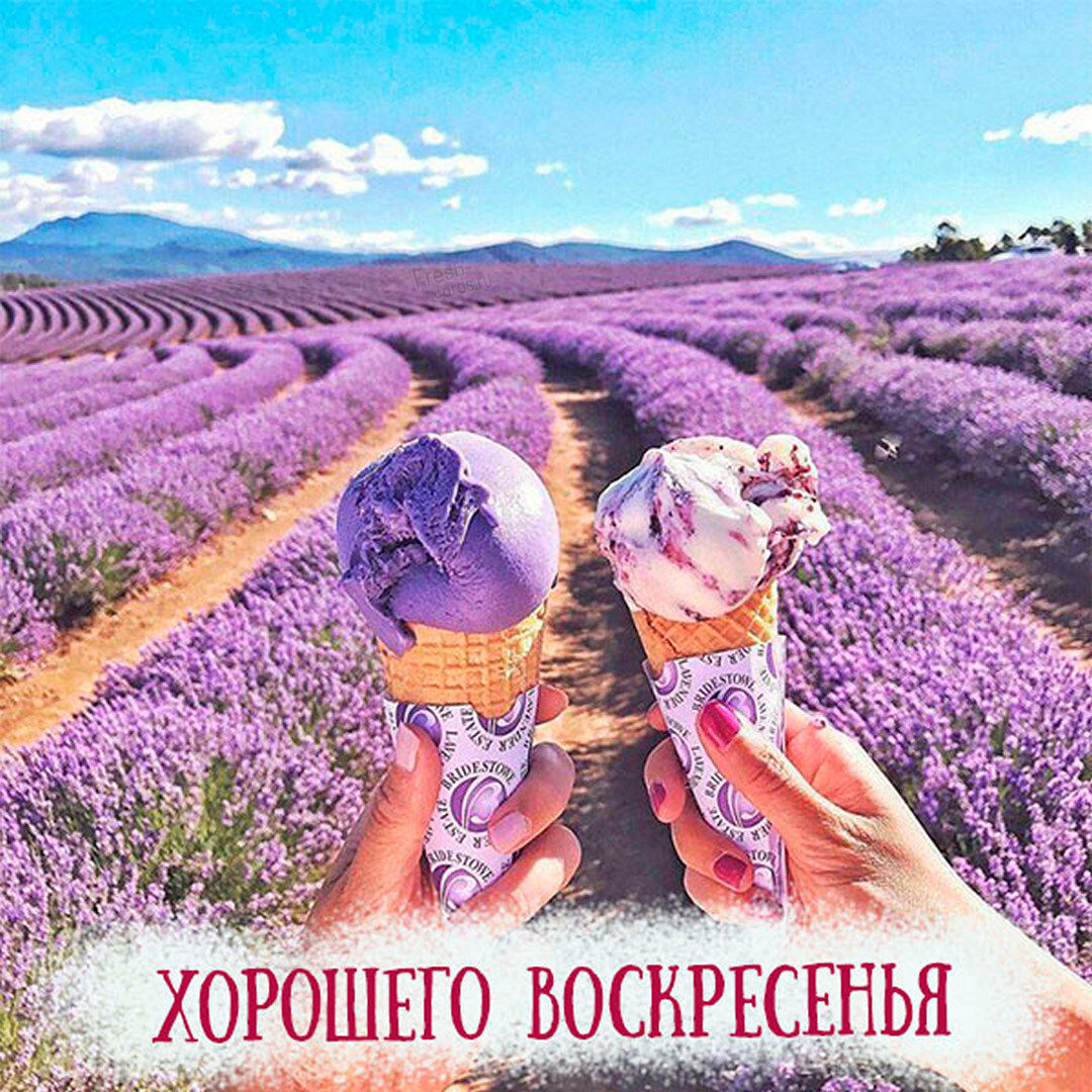 Хостинг картинок yapx.ru