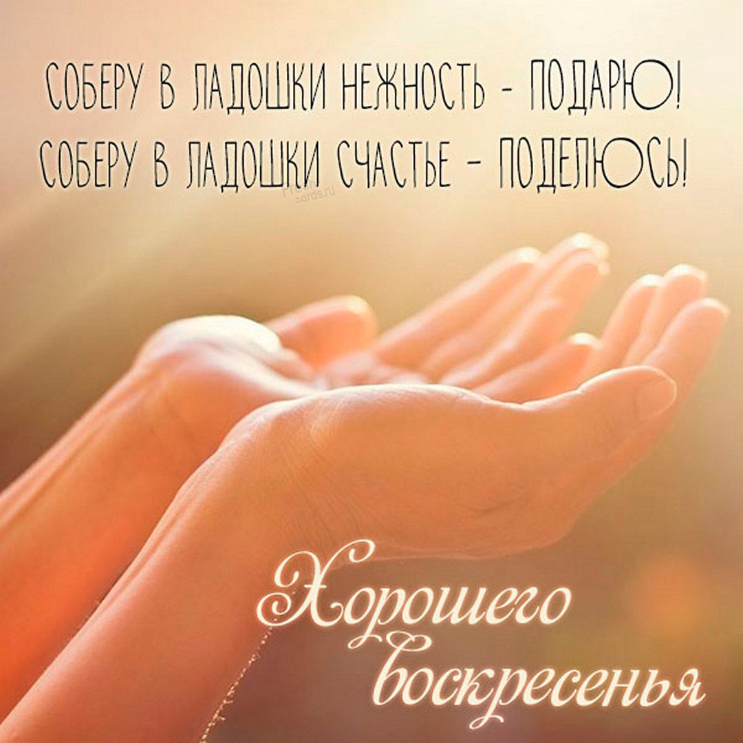 Хостинг картинок yapx.ru