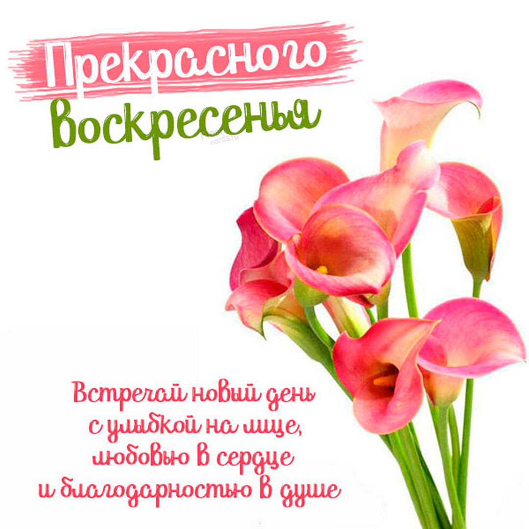 Хостинг картинок yapx.ru