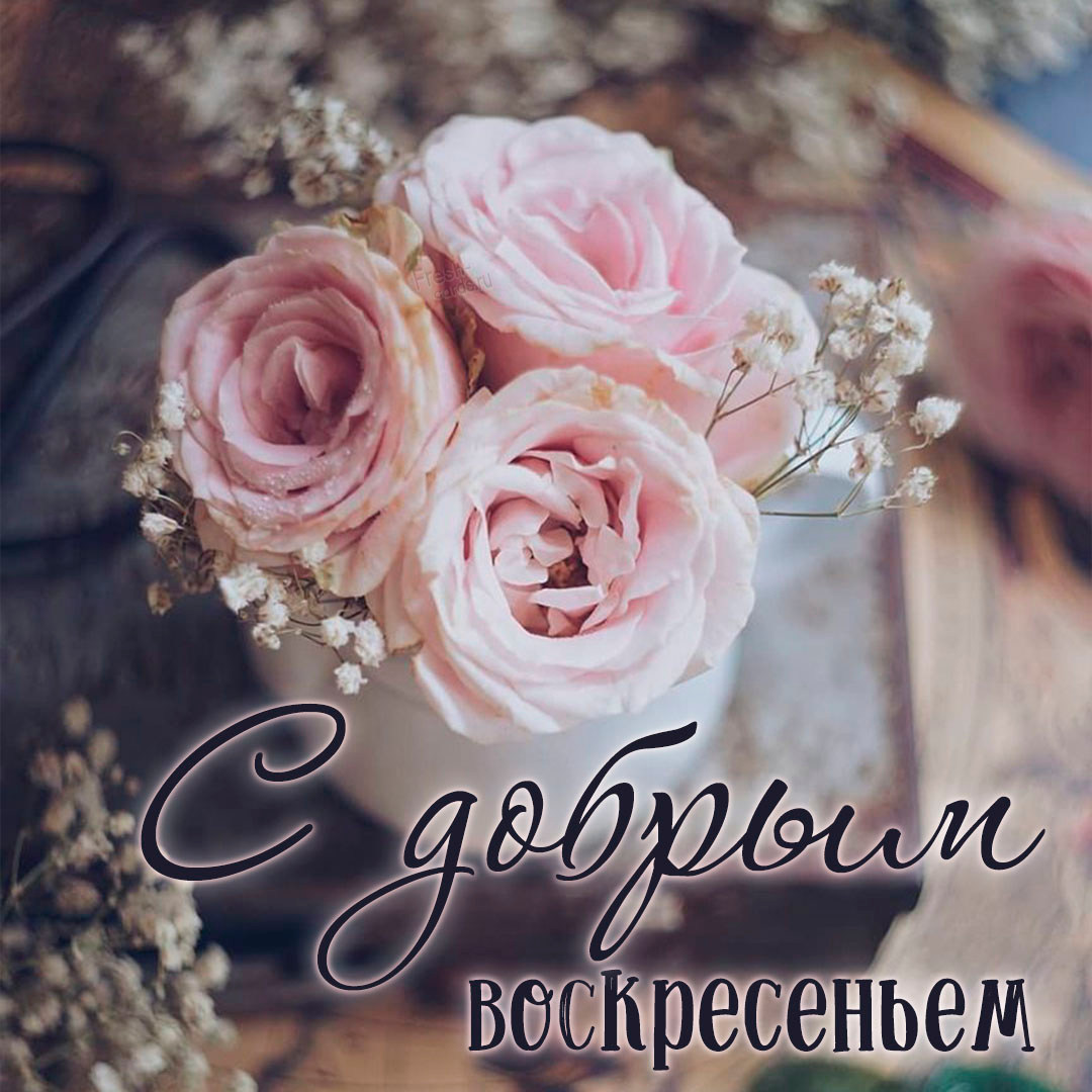 Хостинг картинок yapx.ru