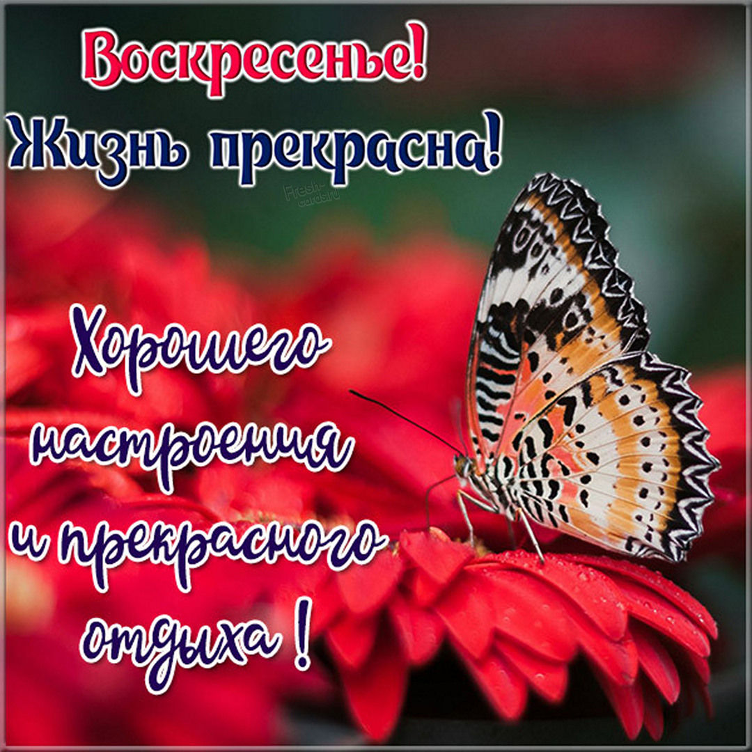 Хостинг картинок yapx.ru