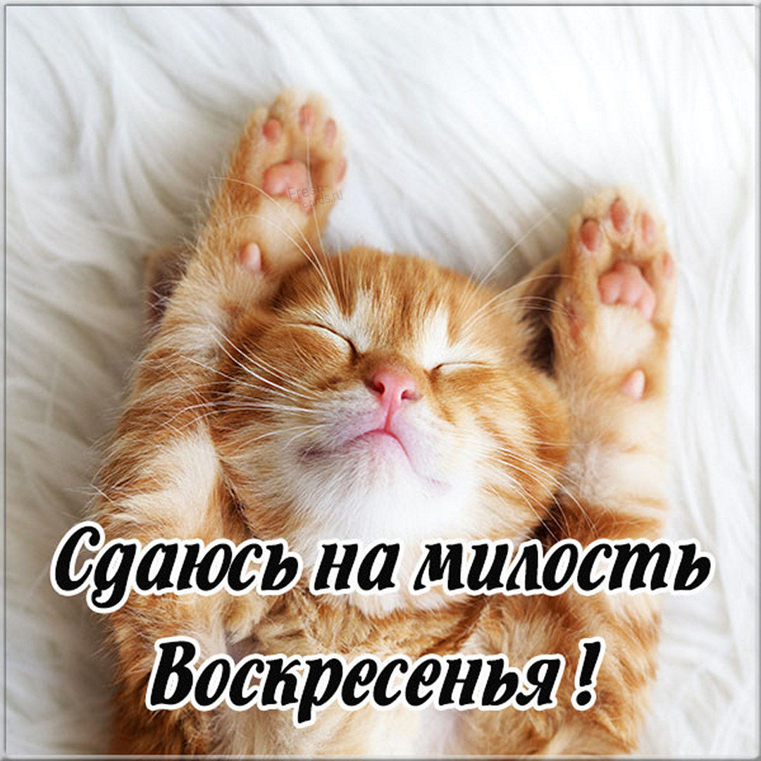 Хостинг картинок yapx.ru