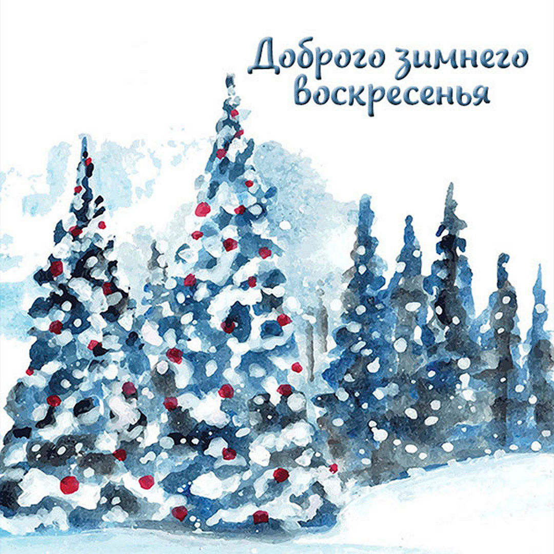 Хостинг картинок yapx.ru