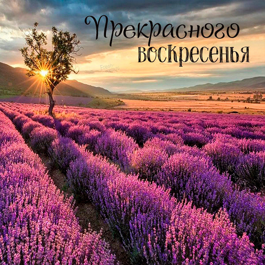 Хостинг картинок yapx.ru