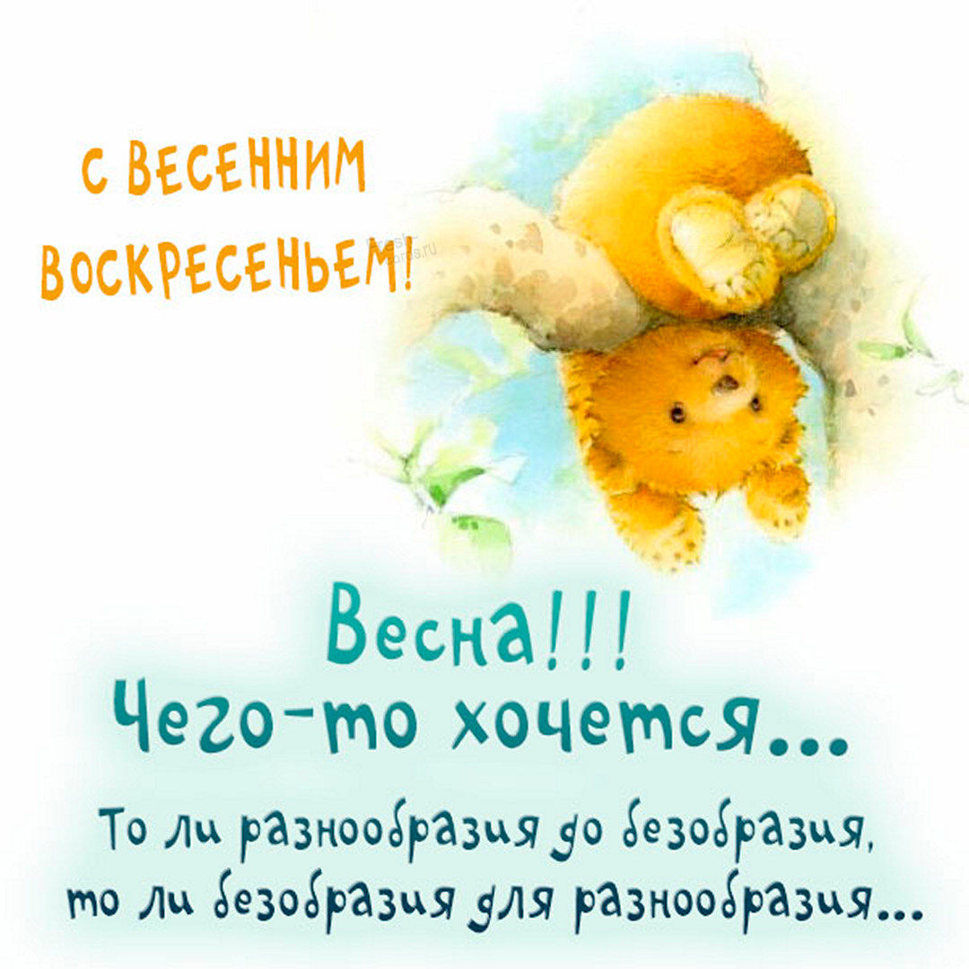 Хостинг картинок yapx.ru