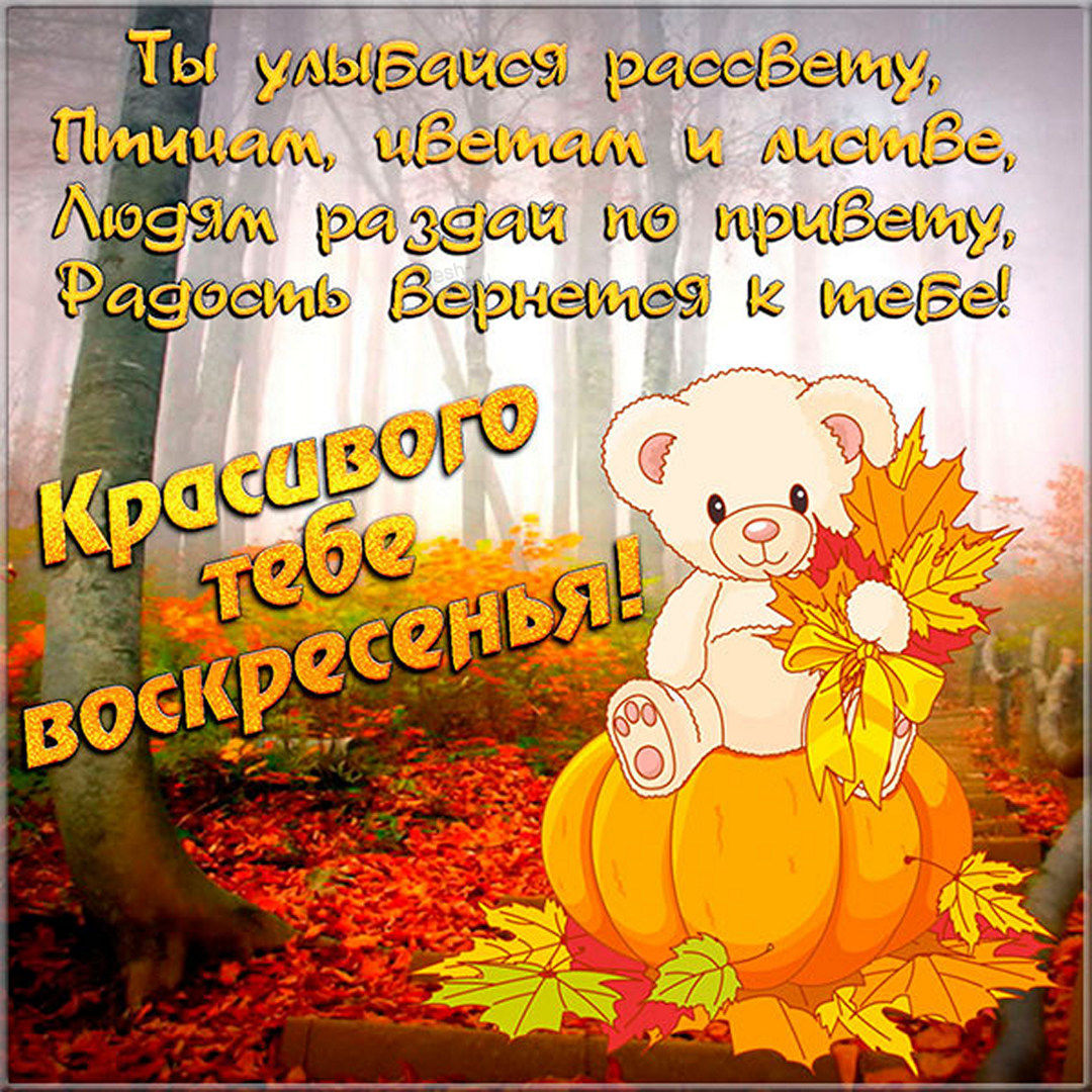 Хостинг картинок yapx.ru