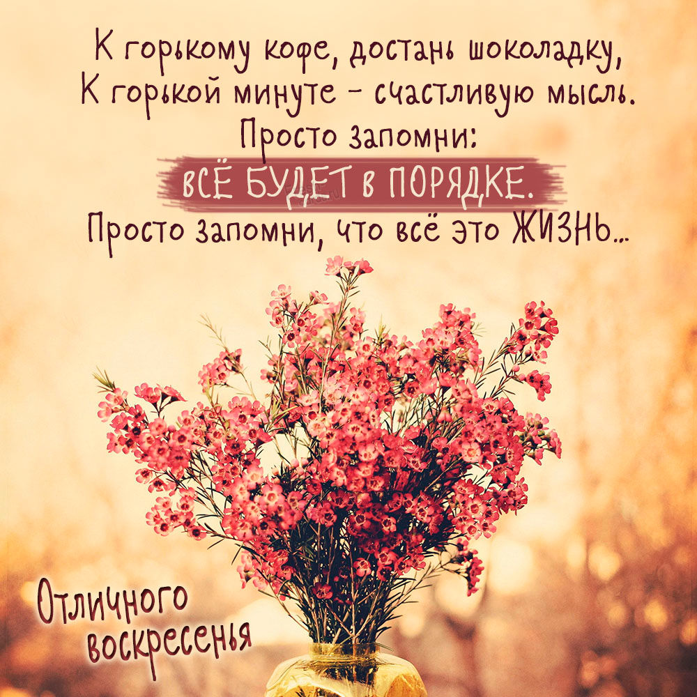 Хостинг картинок yapx.ru