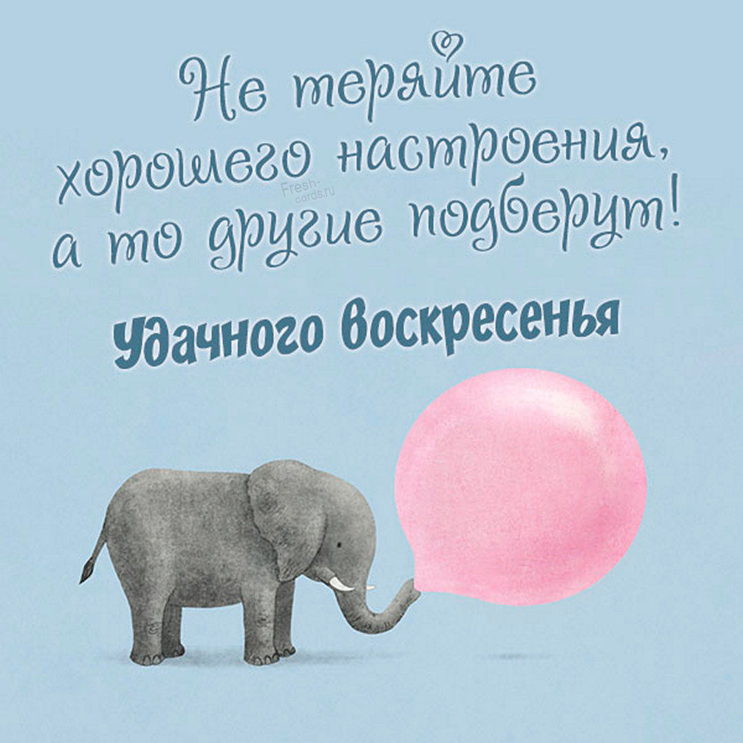 Хостинг картинок yapx.ru