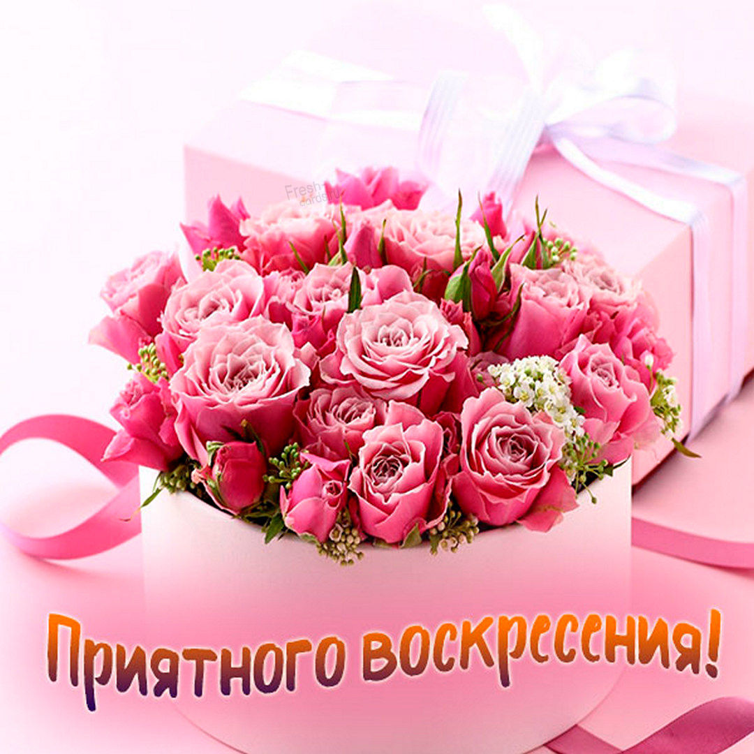 Хостинг картинок yapx.ru