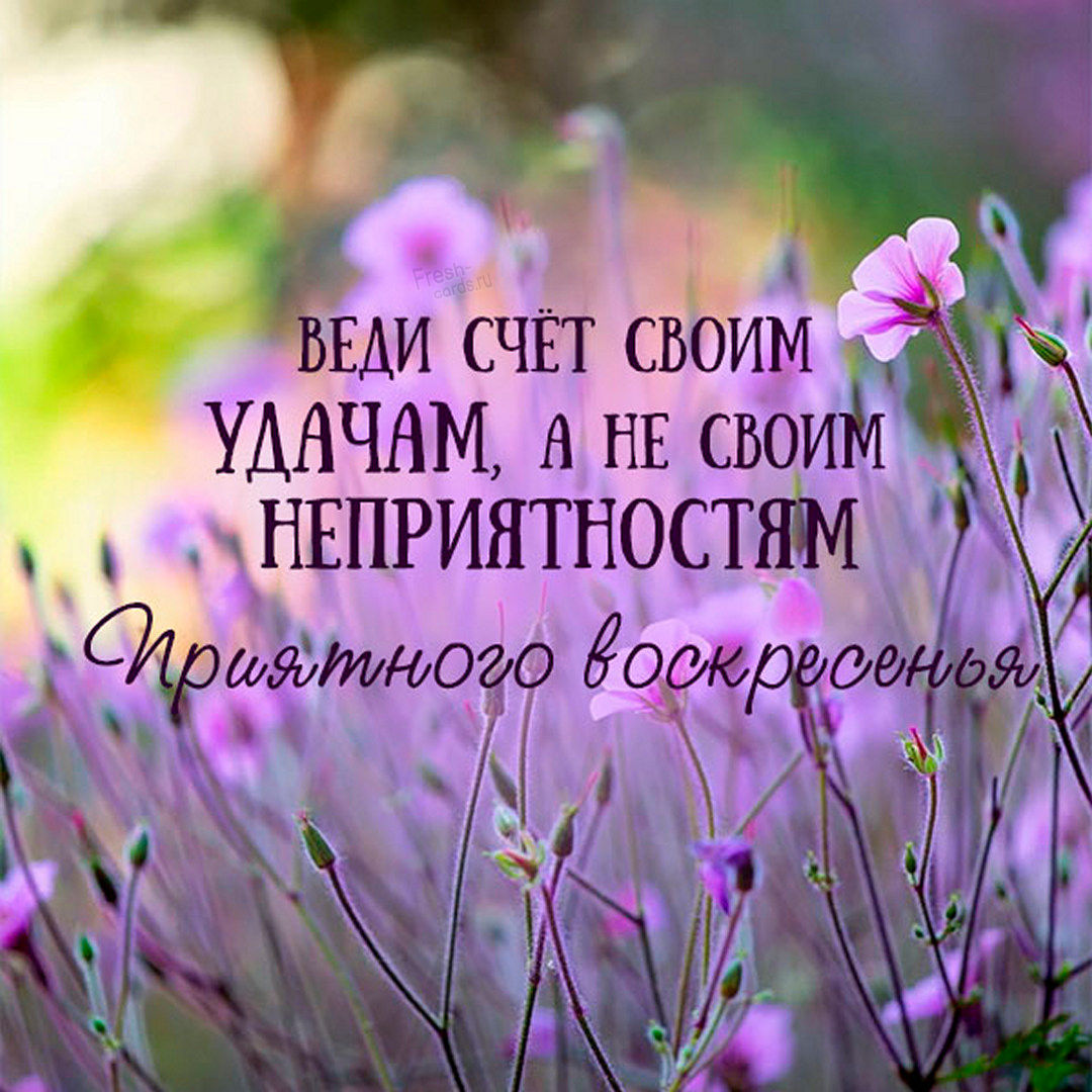 Хостинг картинок yapx.ru