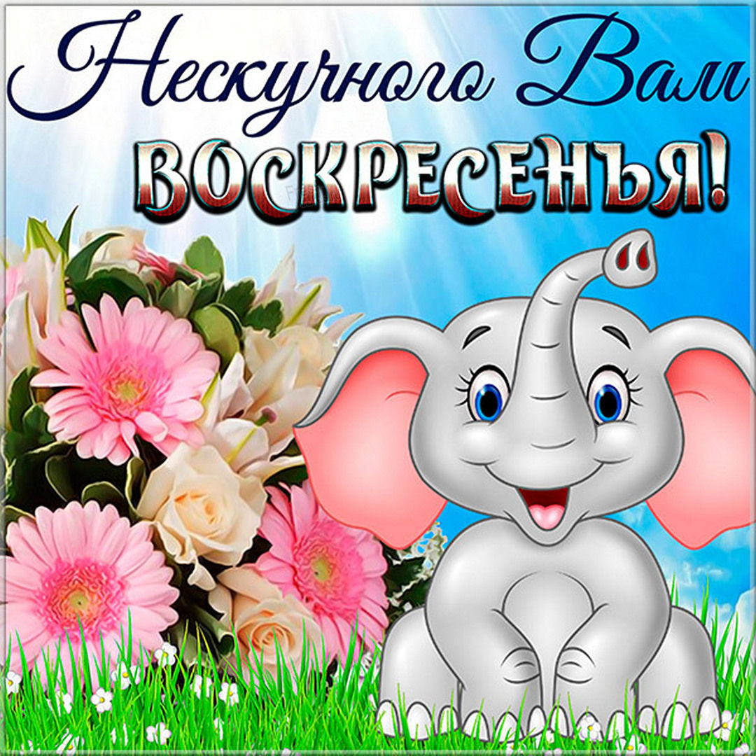 Хостинг картинок yapx.ru