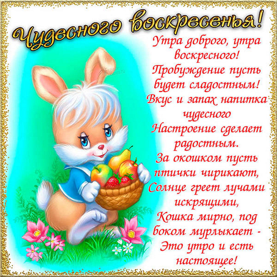 Хостинг картинок yapx.ru