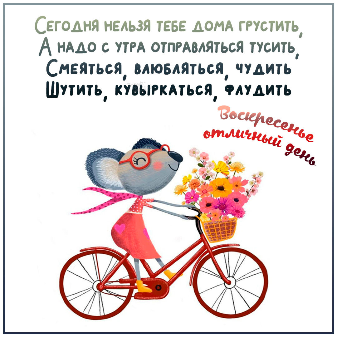 Хостинг картинок yapx.ru