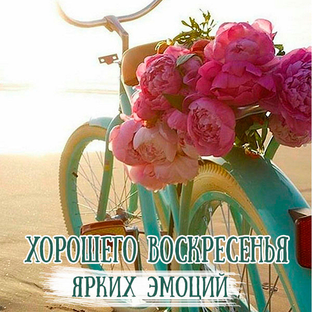 Хостинг картинок yapx.ru