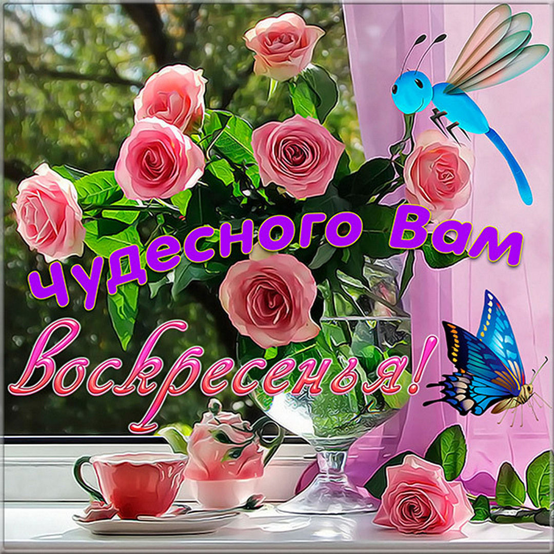 Хостинг картинок yapx.ru