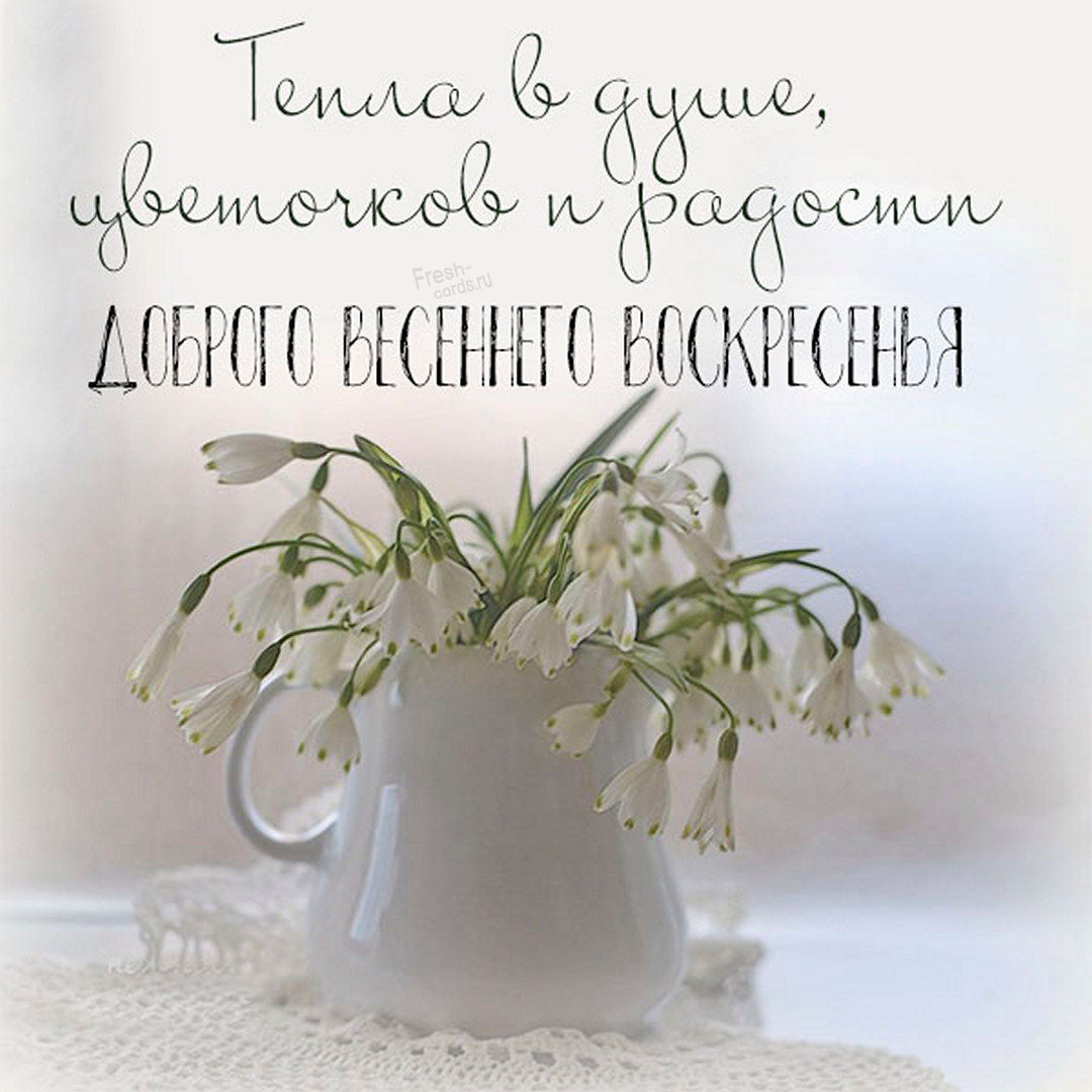 Хостинг картинок yapx.ru