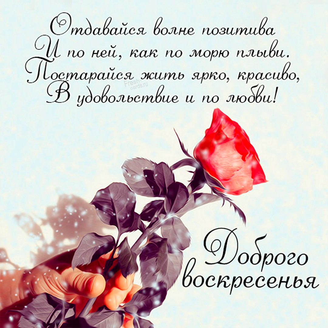 Хостинг картинок yapx.ru