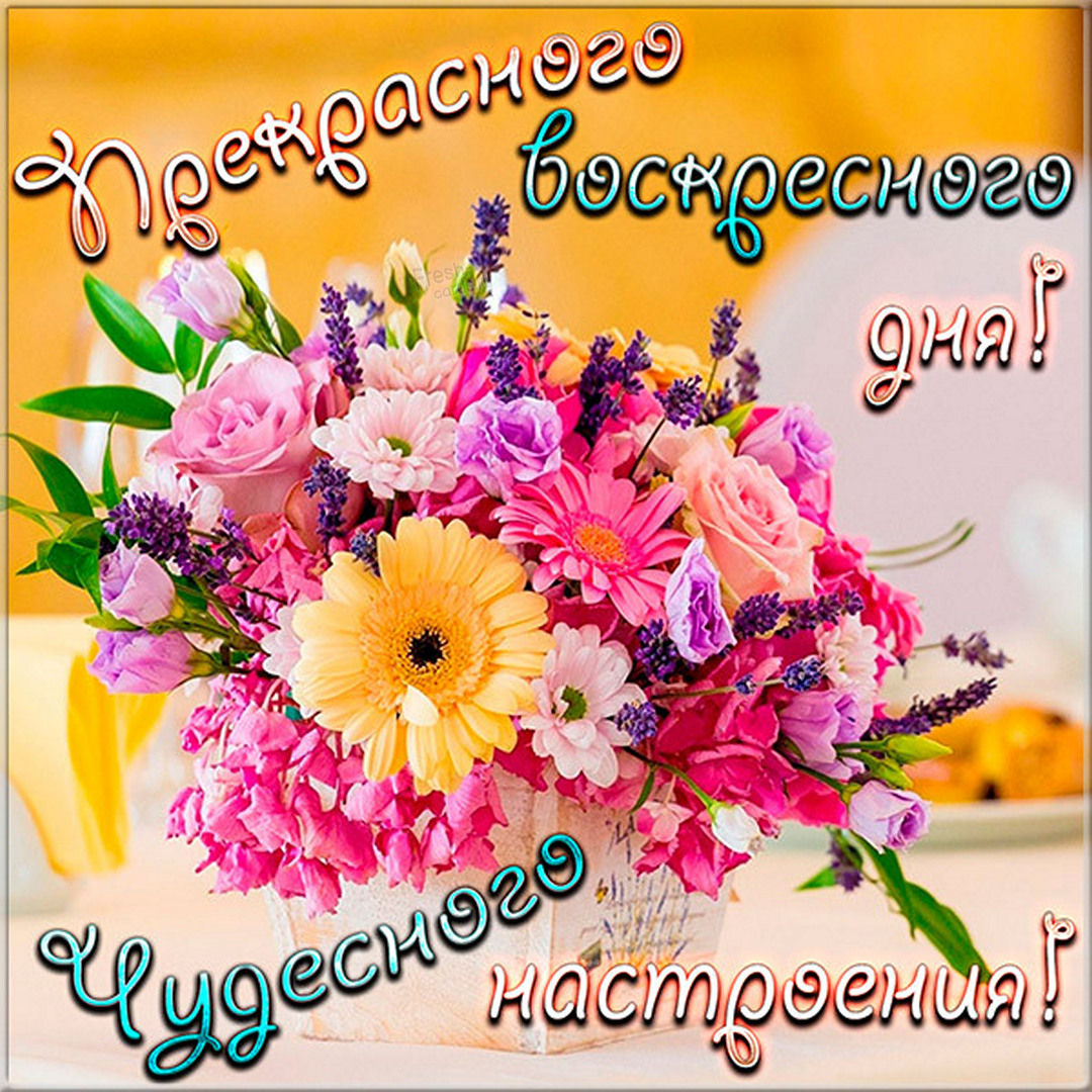 Хостинг картинок yapx.ru